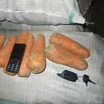 Морковь Волгоградская оптом